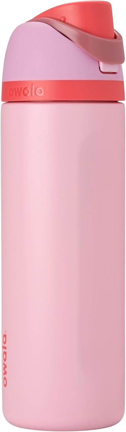 Insulated Stainless Steel Water Bottle with FreeSip Straw
