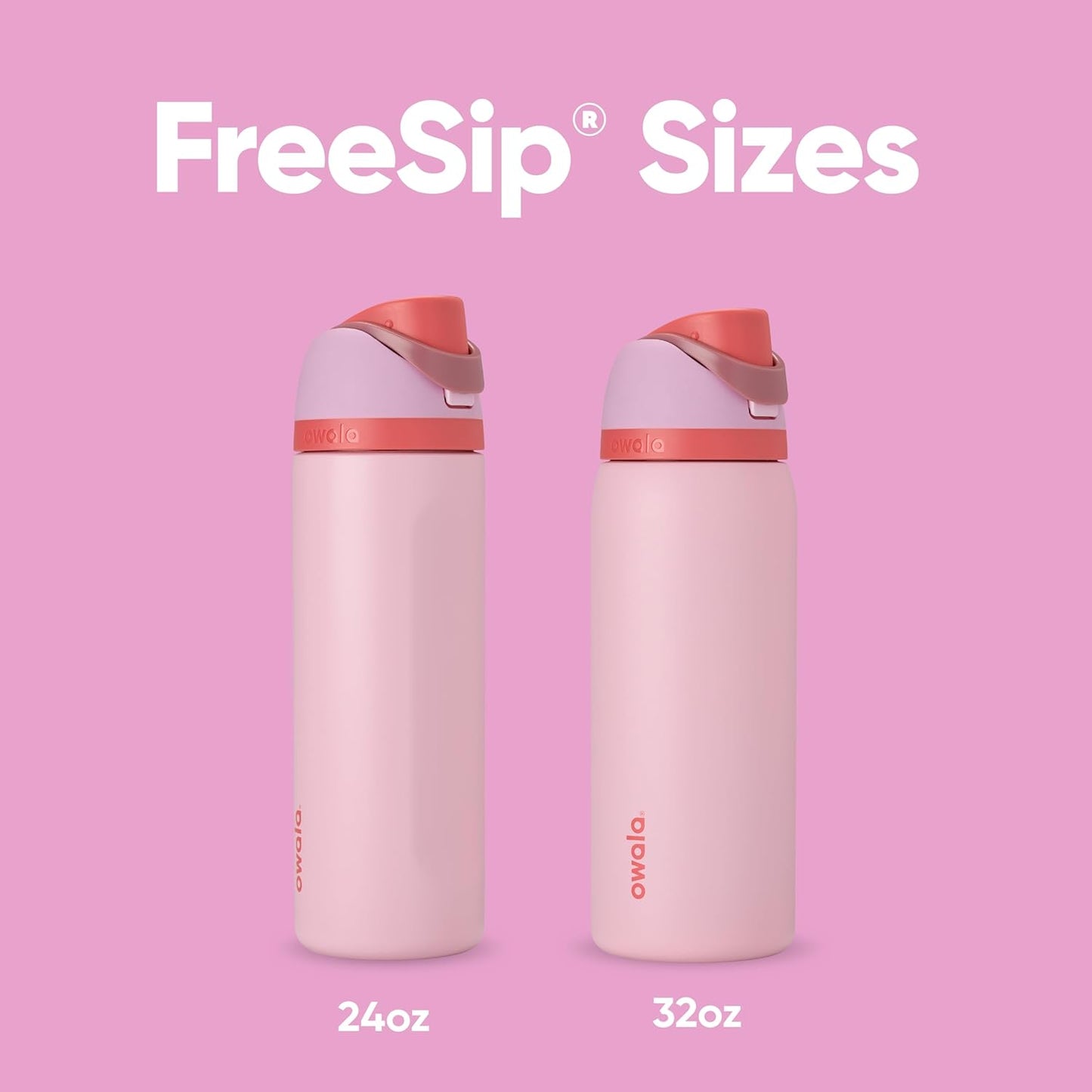 Insulated Stainless Steel Water Bottle with FreeSip Straw