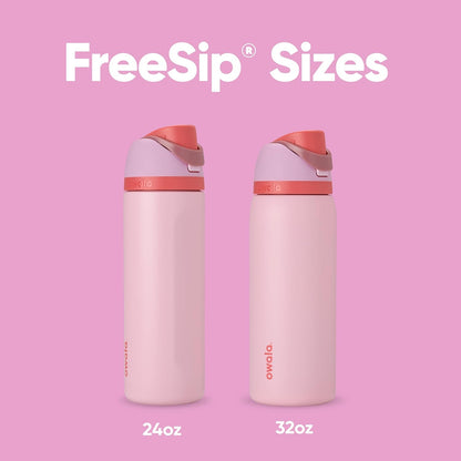 Insulated Stainless Steel Water Bottle with FreeSip Straw