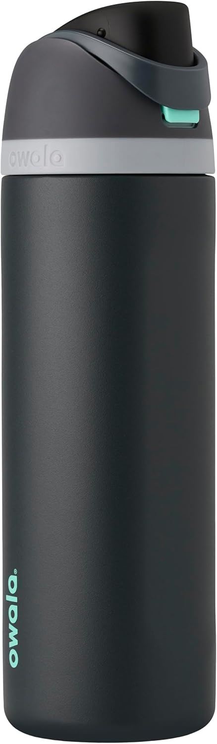Insulated Stainless Steel Water Bottle with FreeSip Straw