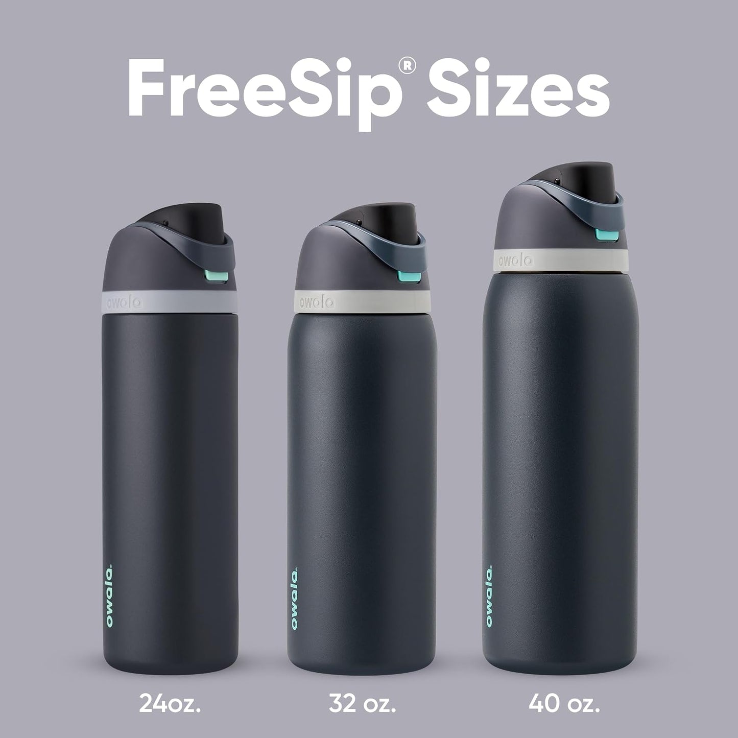 Insulated Stainless Steel Water Bottle with FreeSip Straw