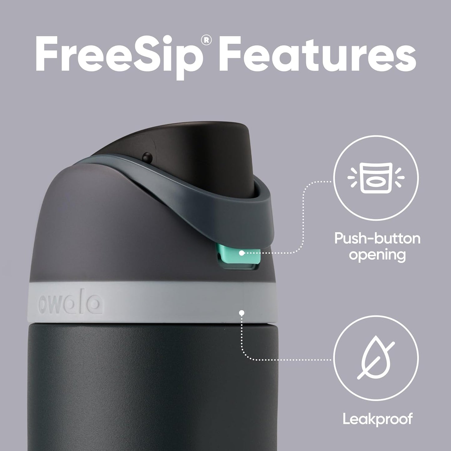 Insulated Stainless Steel Water Bottle with FreeSip Straw