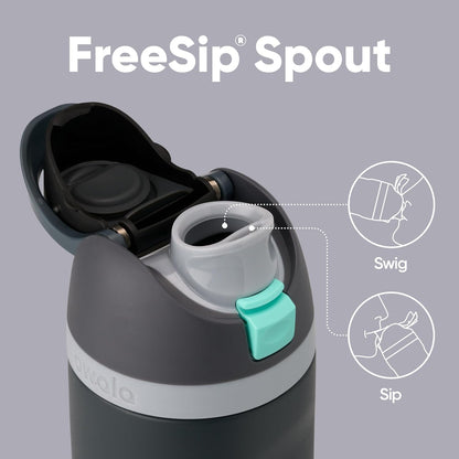 Insulated Stainless Steel Water Bottle with FreeSip Straw