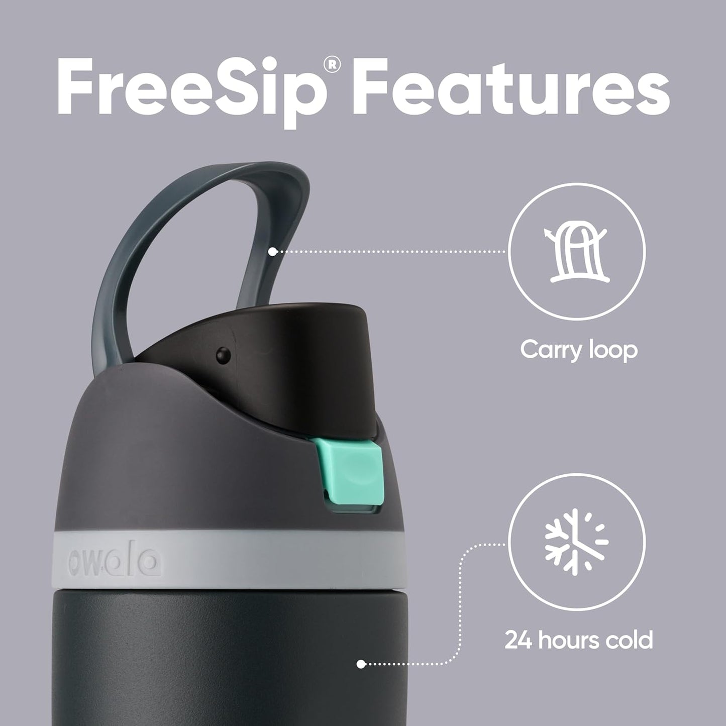 Insulated Stainless Steel Water Bottle with FreeSip Straw