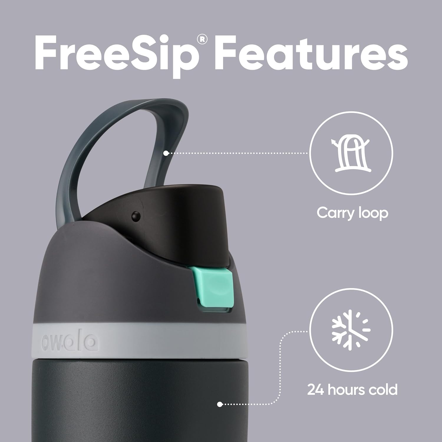 Insulated Stainless Steel Water Bottle with FreeSip Straw
